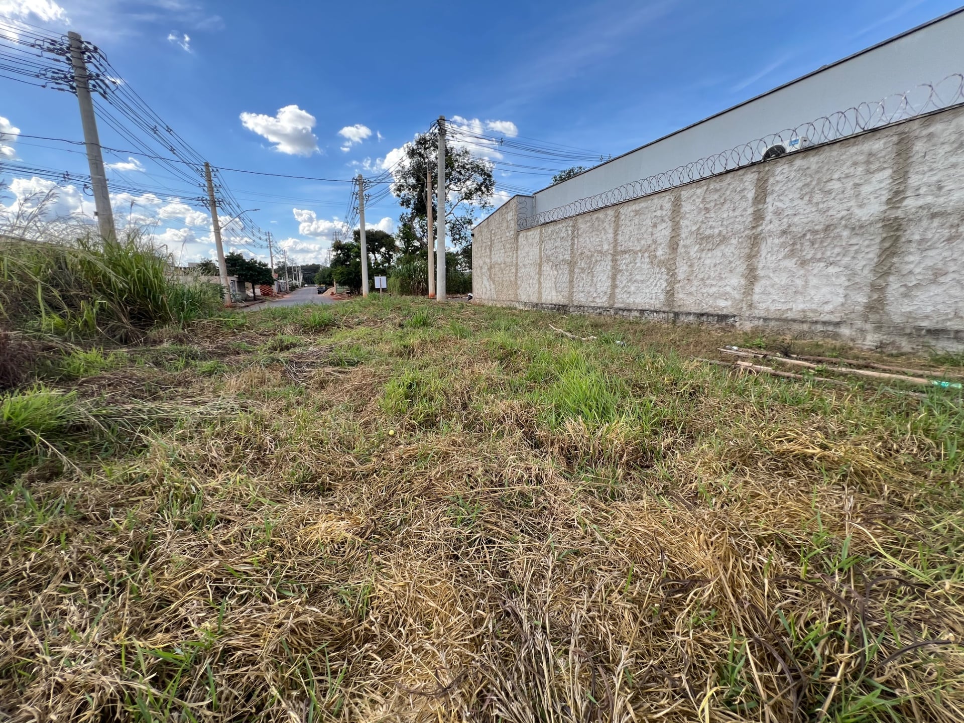 Lote 230m2