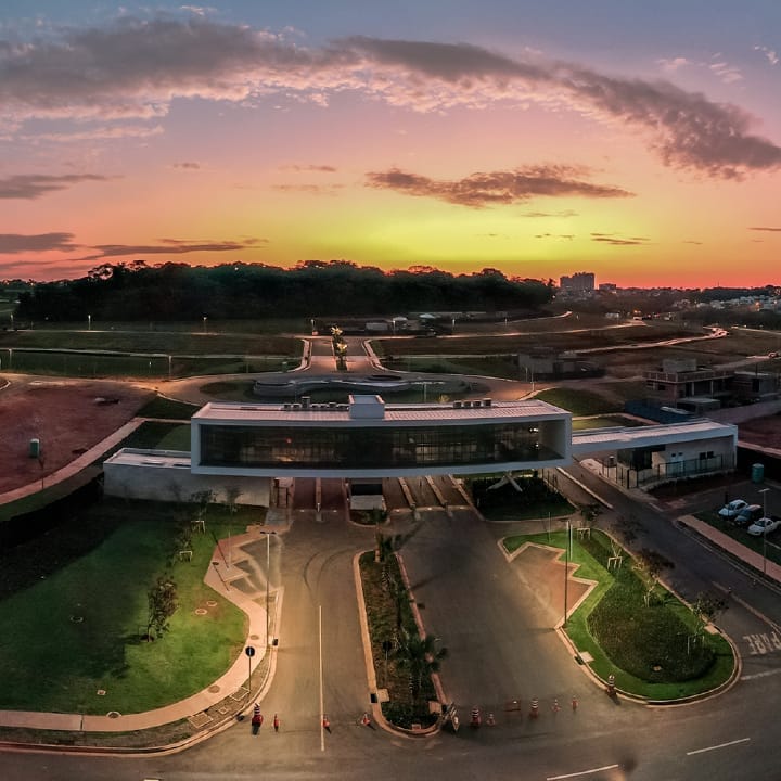 Lote Plateau D'or Privilege