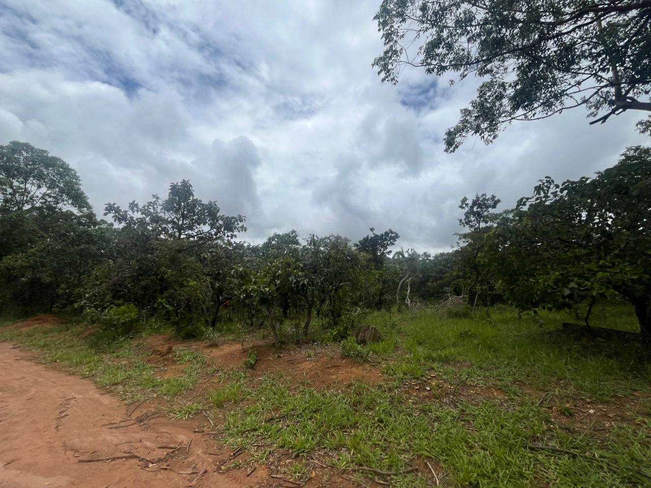 TERRENO EM ALEXÃNIA
