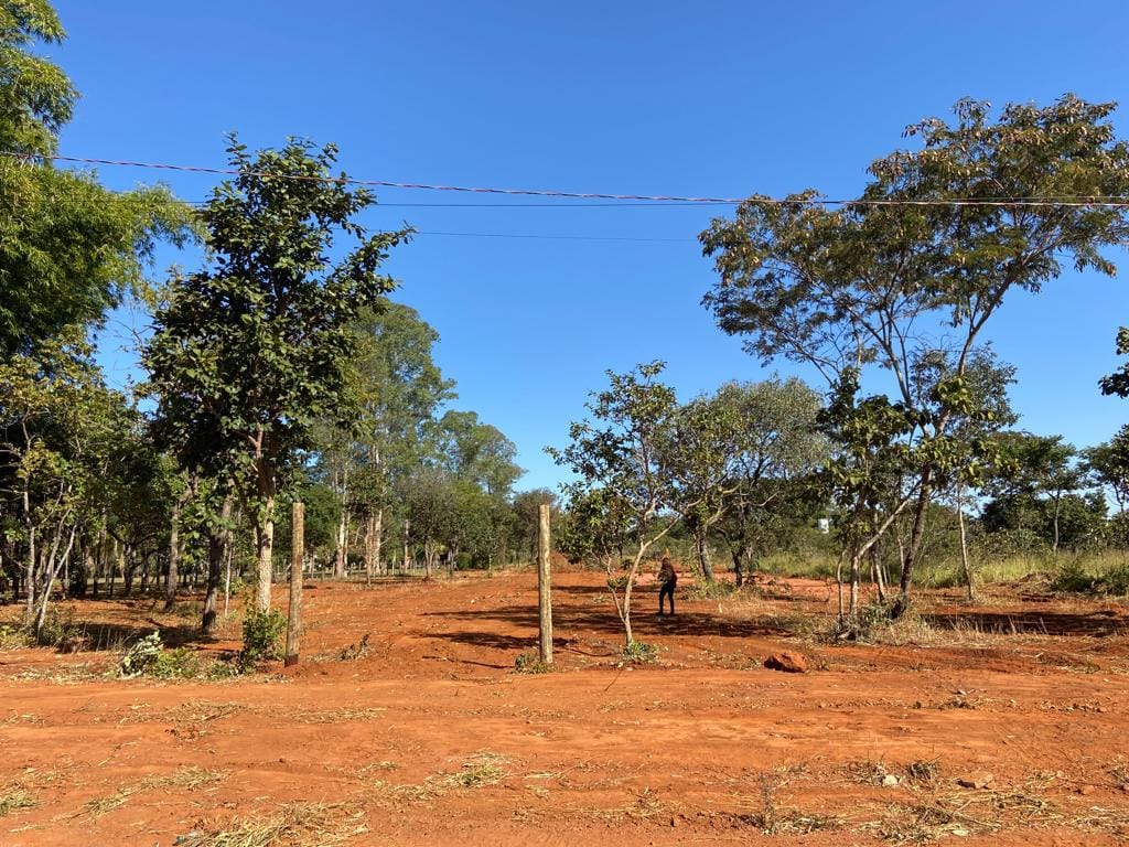 lote alameda das codornas senador canedo