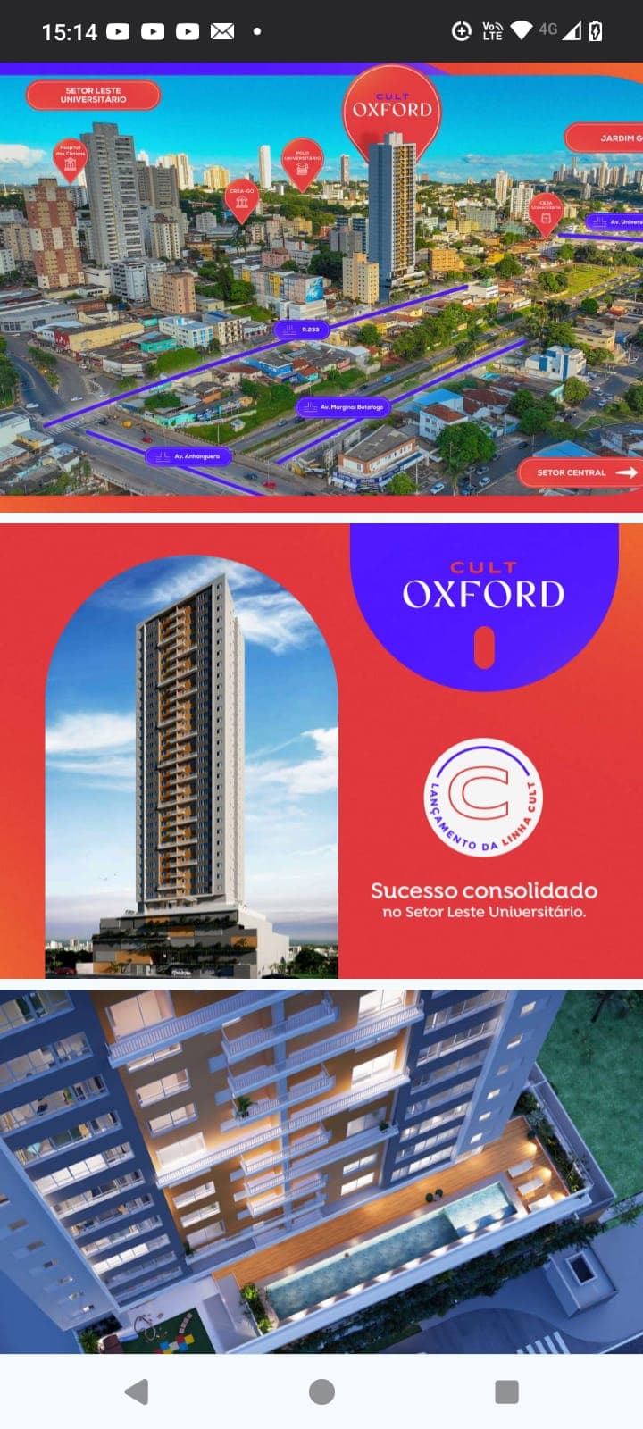 Cult Oxford - Universitário