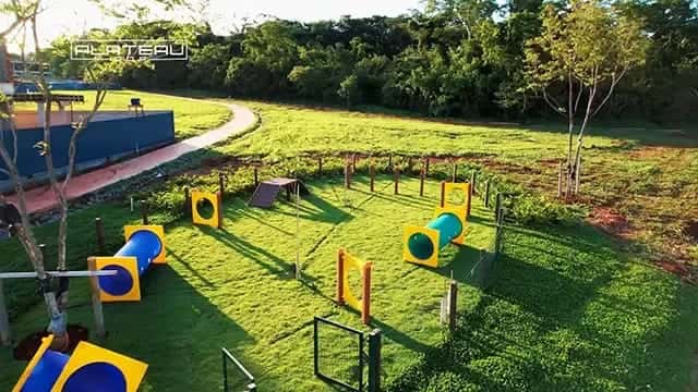 Lote Plateau D'or Unique