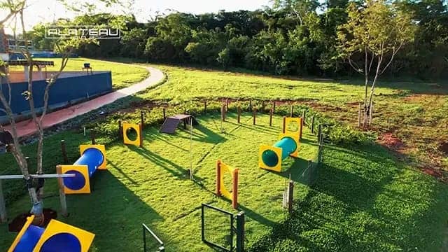 Lote Plateau D'or Unique