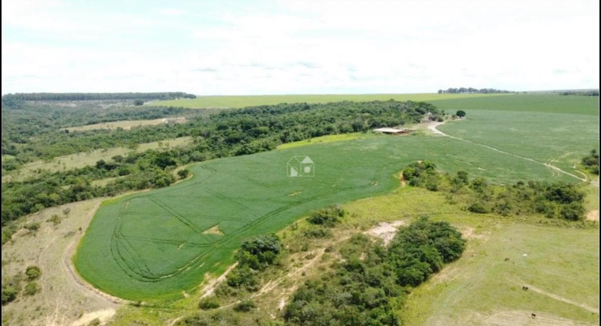 FAZENDA COM TERRAS RARAS E MINERAÇÃO DE CAULIM E AGROPECUÁRIA
