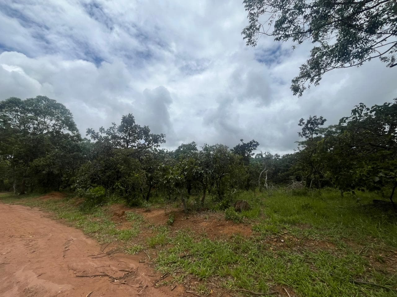 TERRENO EM ALEXÃNIA