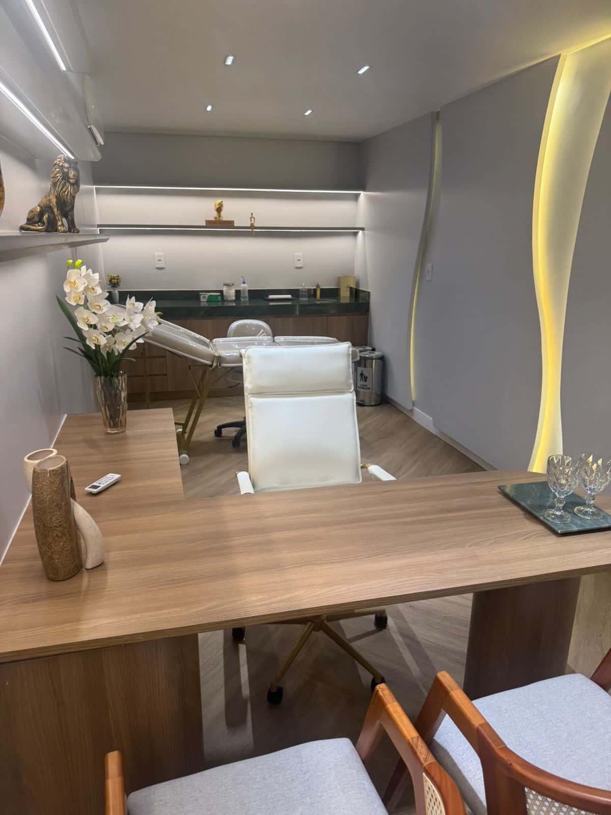 Aluguel Mensal | Sala/consultório 17,06m² | Clínica DueTratto - Setor Sul - Goiânia/GO