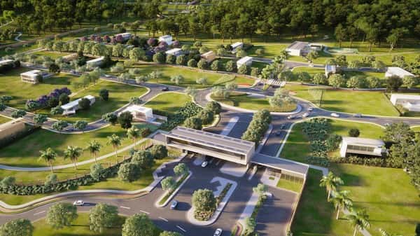 Lote Plateau D'or Unique