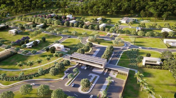 Lote Plateau D'or Unique