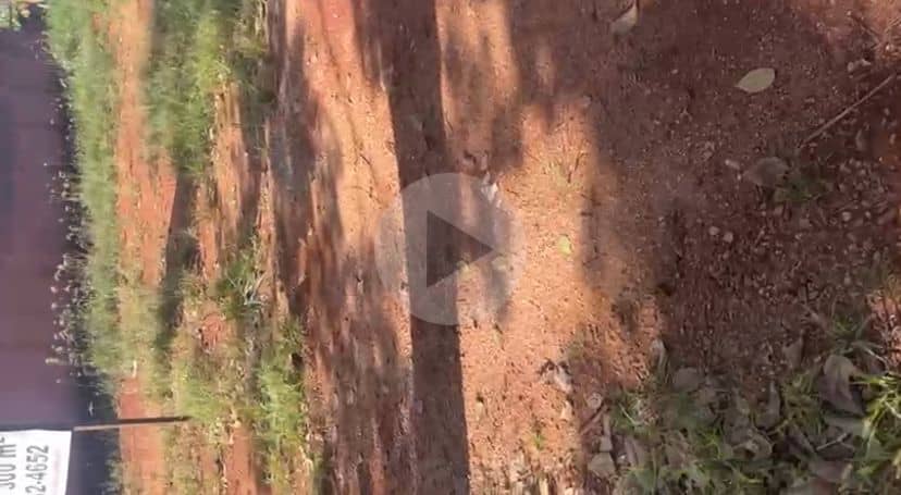 LOTES A VENDA 300m²