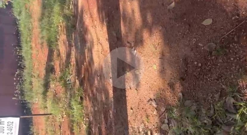 LOTES A VENDA 300m²