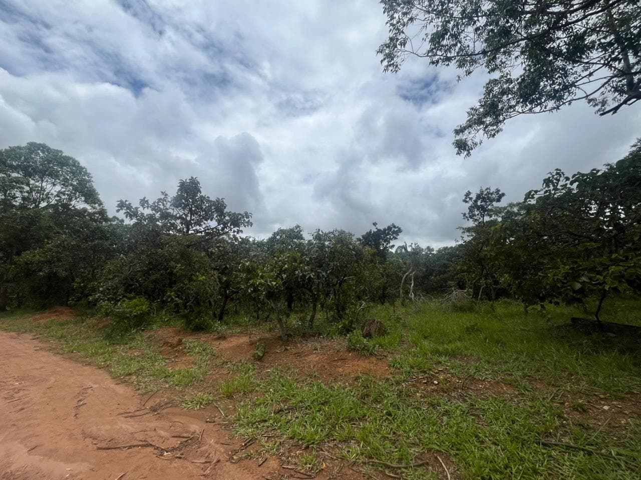 TERRENO EM ALEXÃNIA