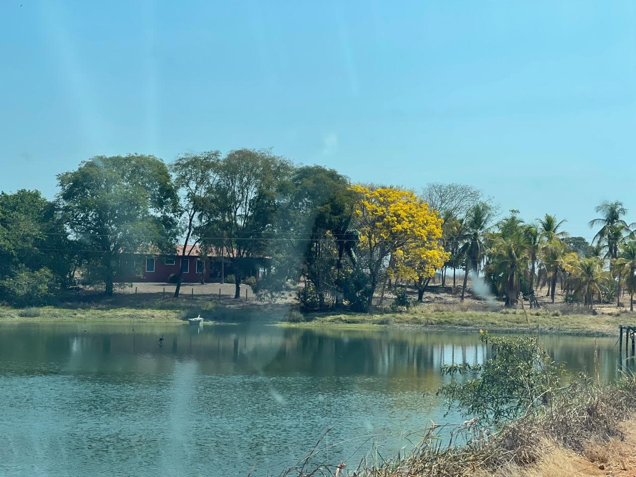 FAZENDA BRITÂNIA