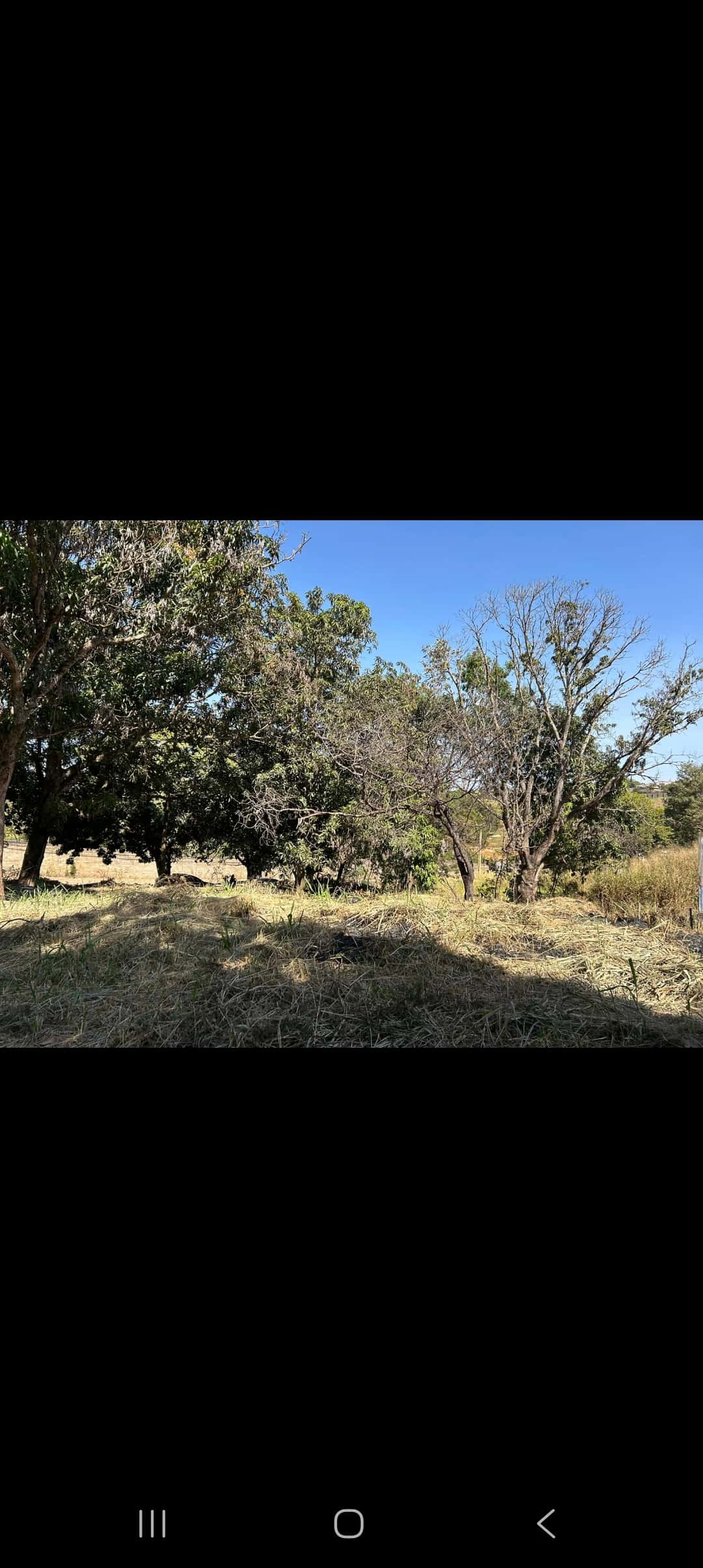 Lote Vila Maria