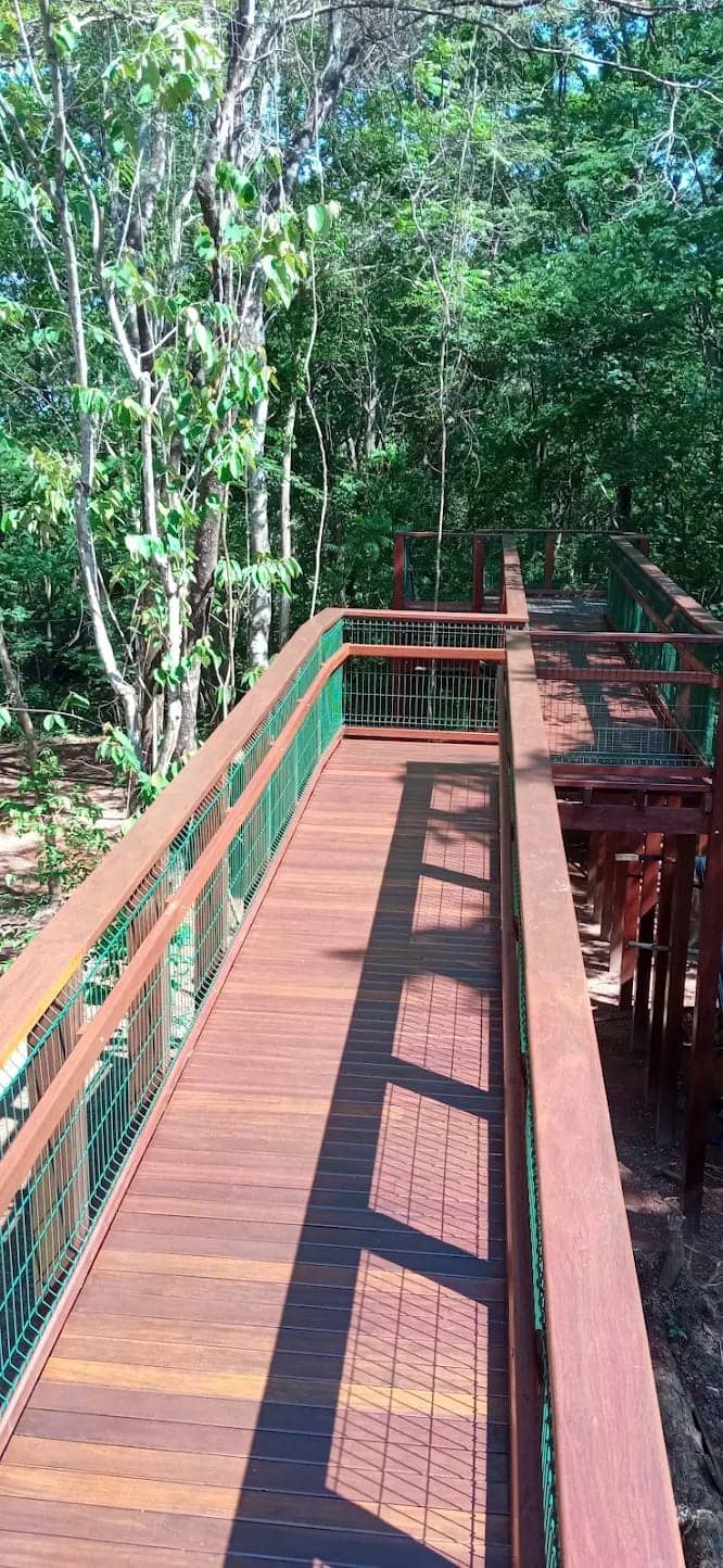 Lote Plateau D'or Privilege