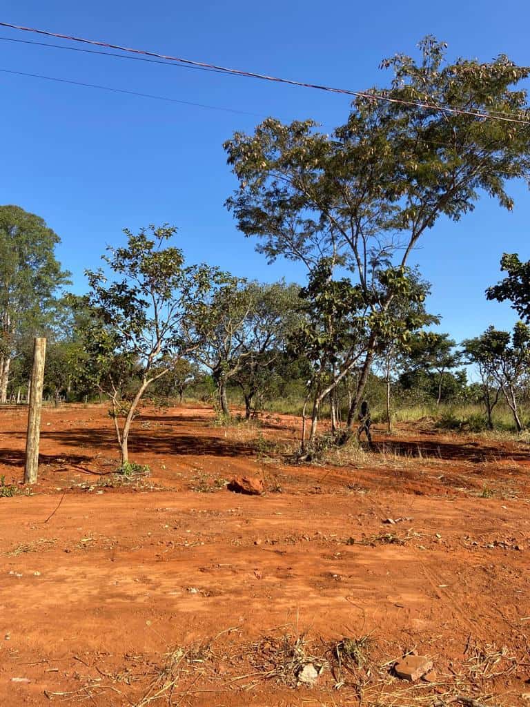 lote alameda das codornas senador canedo