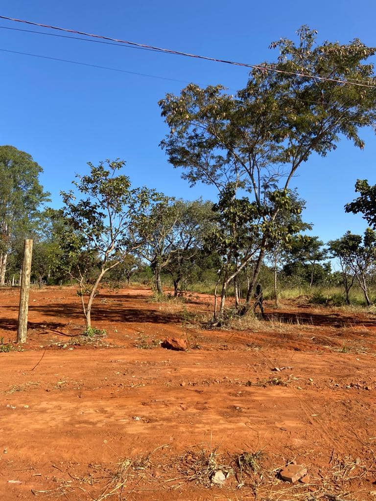 lote alameda das codornas senador canedo