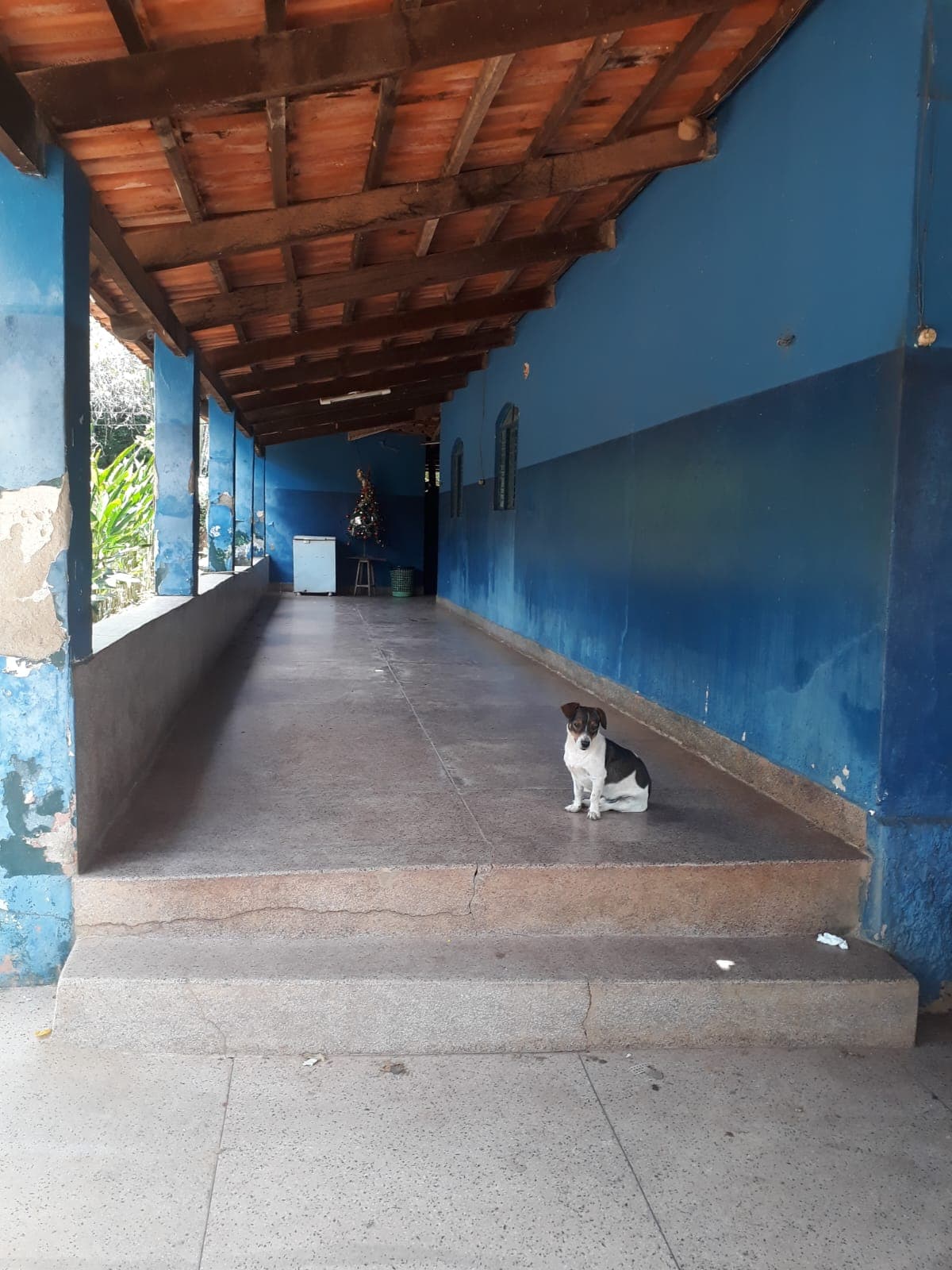 Chacara em Senador Canedo