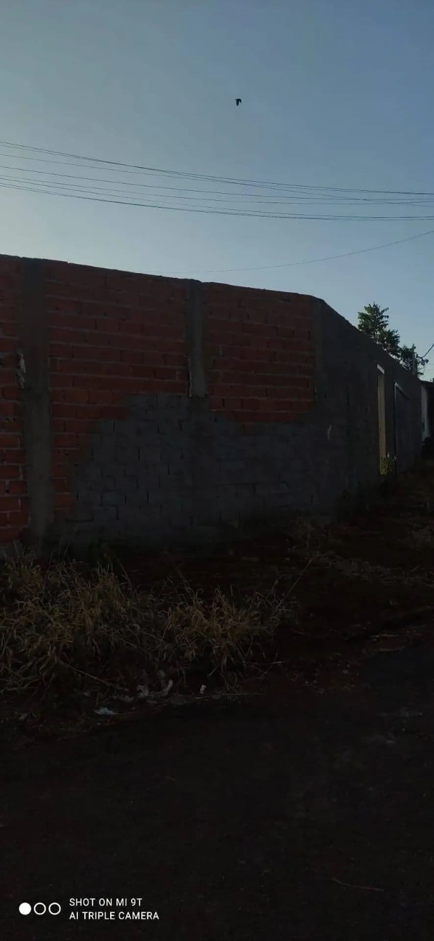 Imagem 6