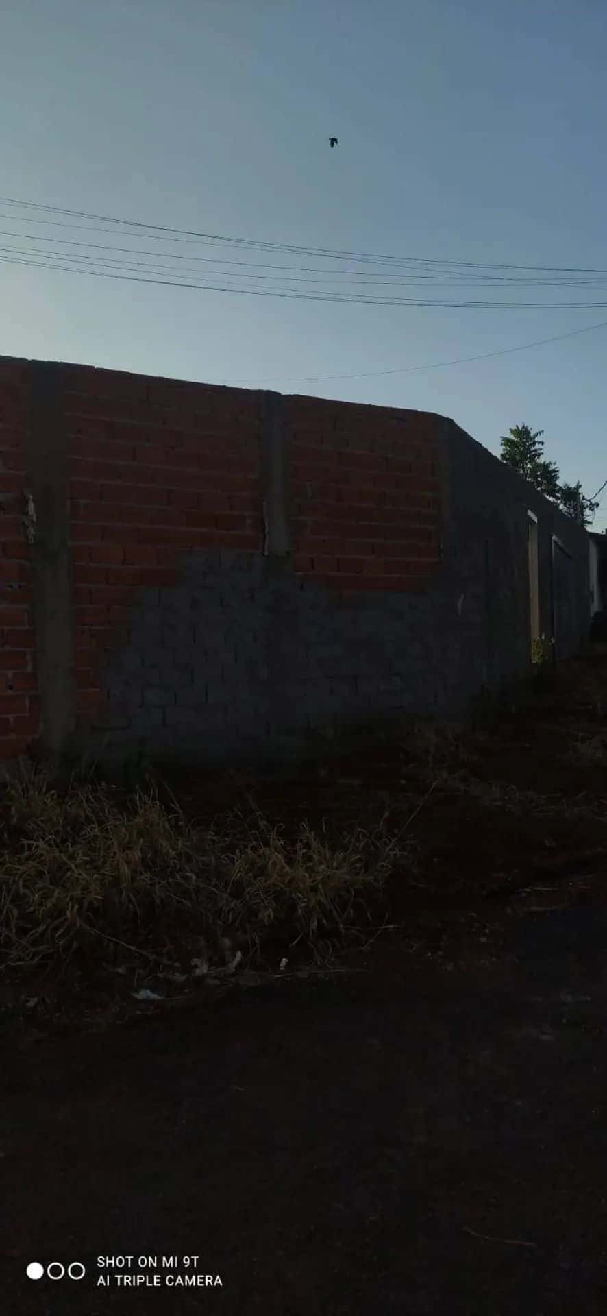Imagem 6