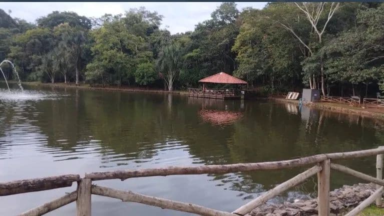 Imagem 4