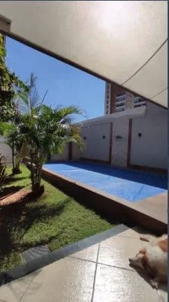 Imagem 6