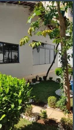 Imagem 5