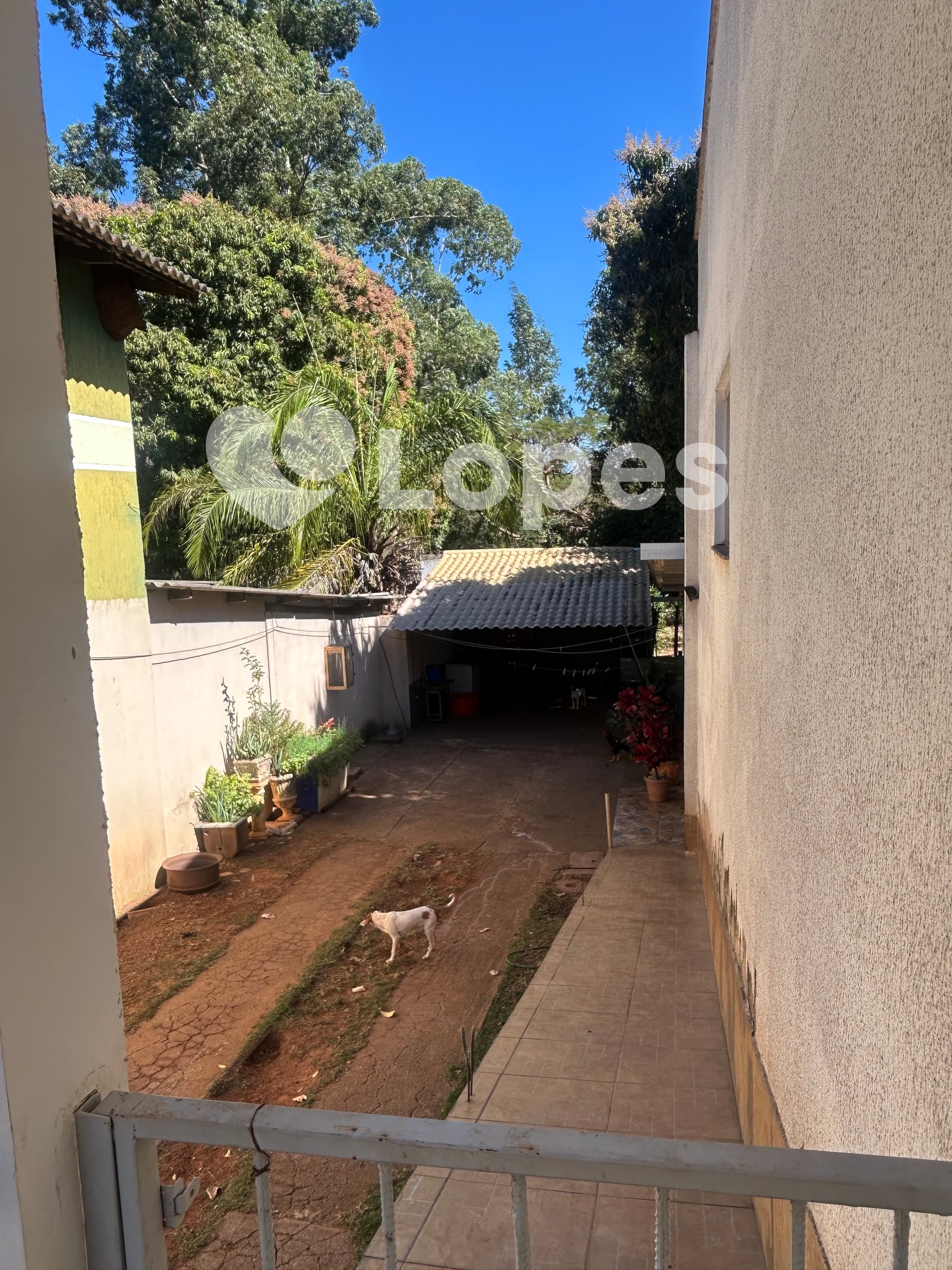 Chácara à Venda no Setor Cidade Satélite São Luiz | 3 Quartos | Aparecida de Goiânia
