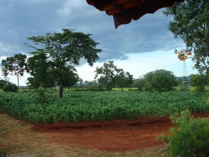 Sítio / Chácara entre Goianira e Brazabrantes – 1 Alqueire