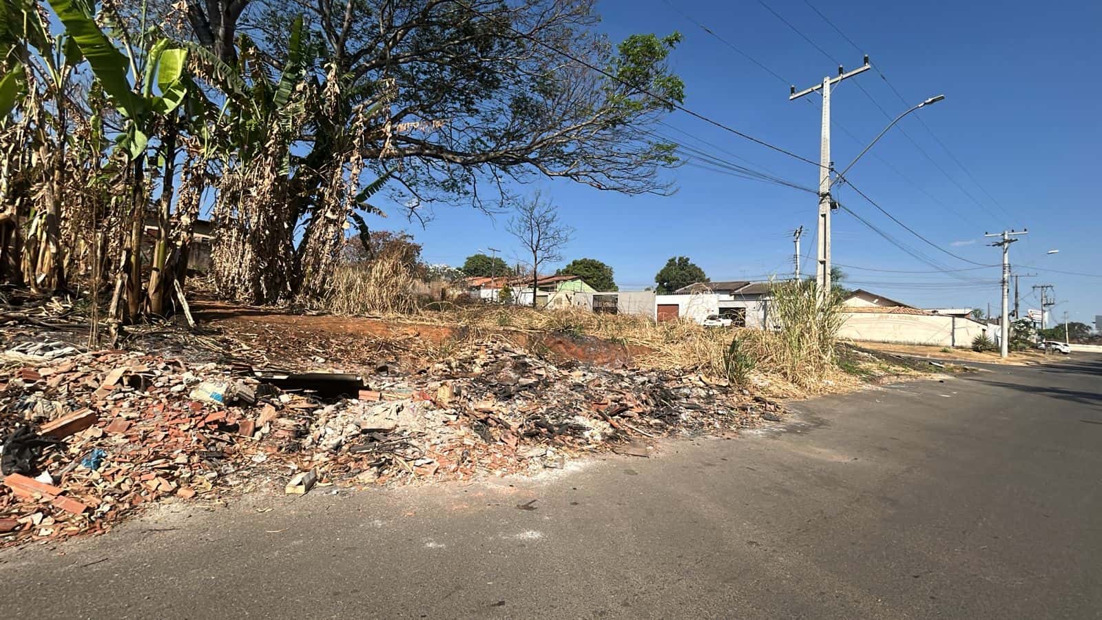 Lote Incrível no Jardim Botânico