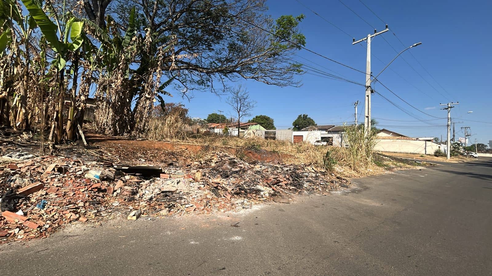 Lote Incrível no Jardim Botânico