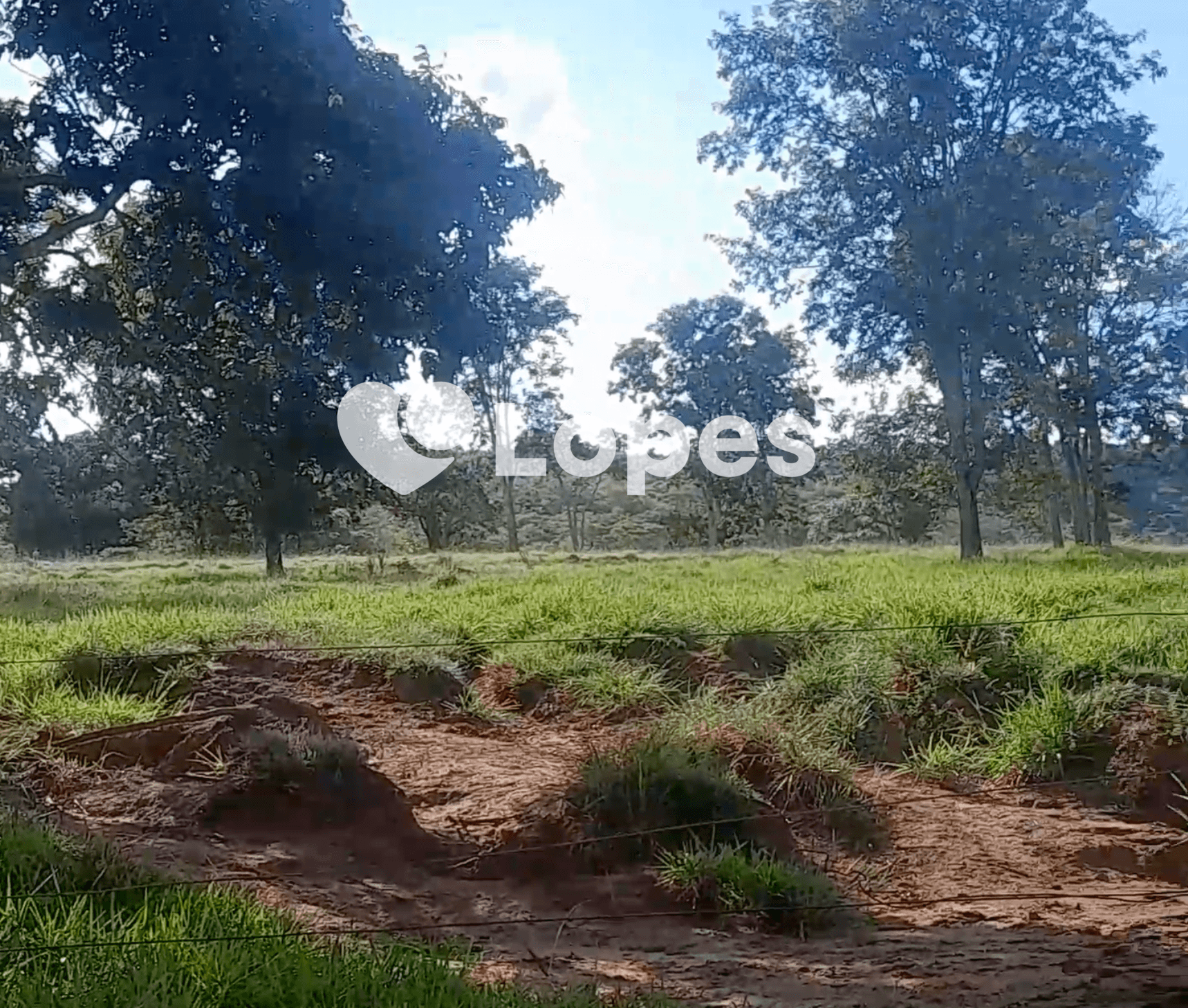 Fazenda Excepcional à Venda em Campina Verde/MG | 100 Alqueires |8 Nascentes |Estrutura Completa