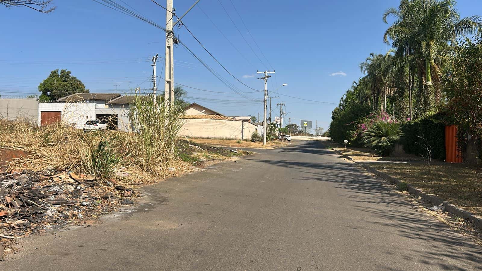 Lote Incrível no Jardim Botânico