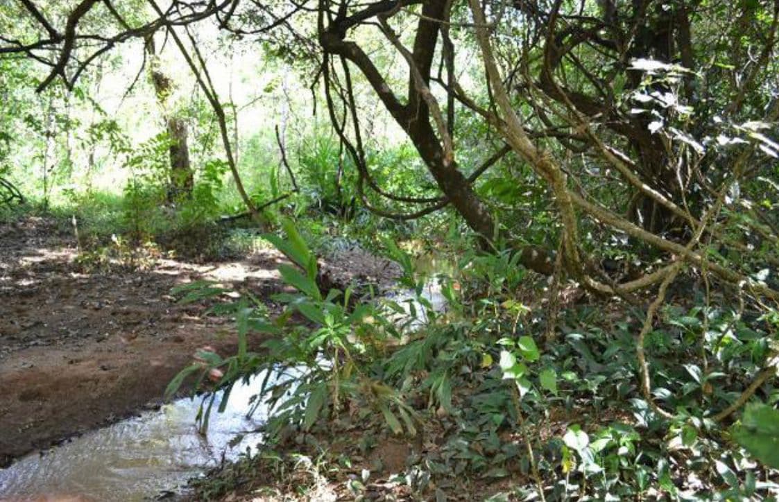 Fazenda Cachoeira no Município de Petrolina de Góias