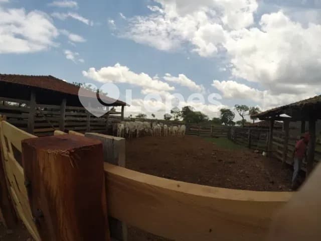 Fazenda em Pilar de Goiás | 32 Alqueires | Abundante em Água e Infraestrutura completa