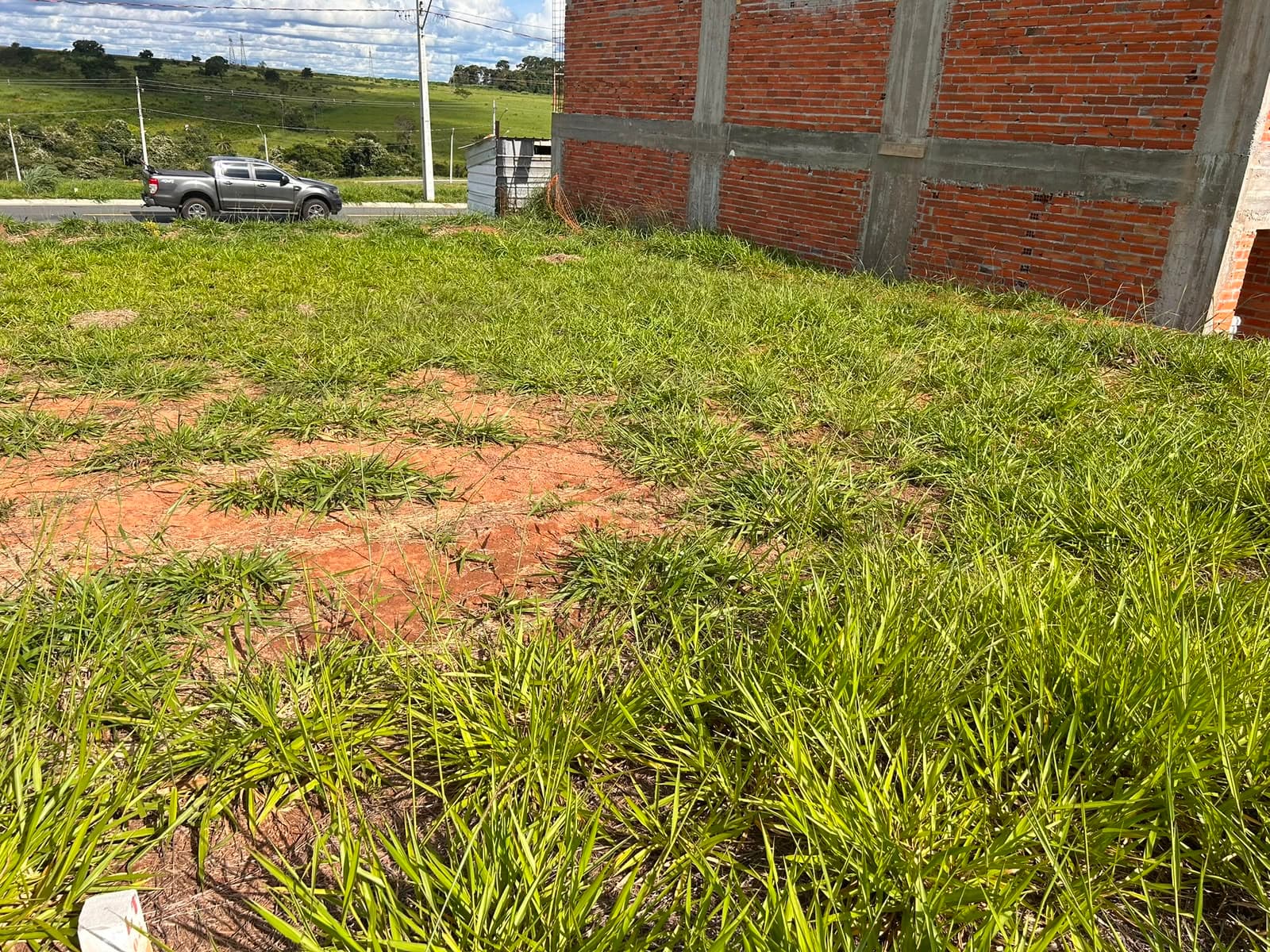 LOTE VINHAS FLAMBOYANT
