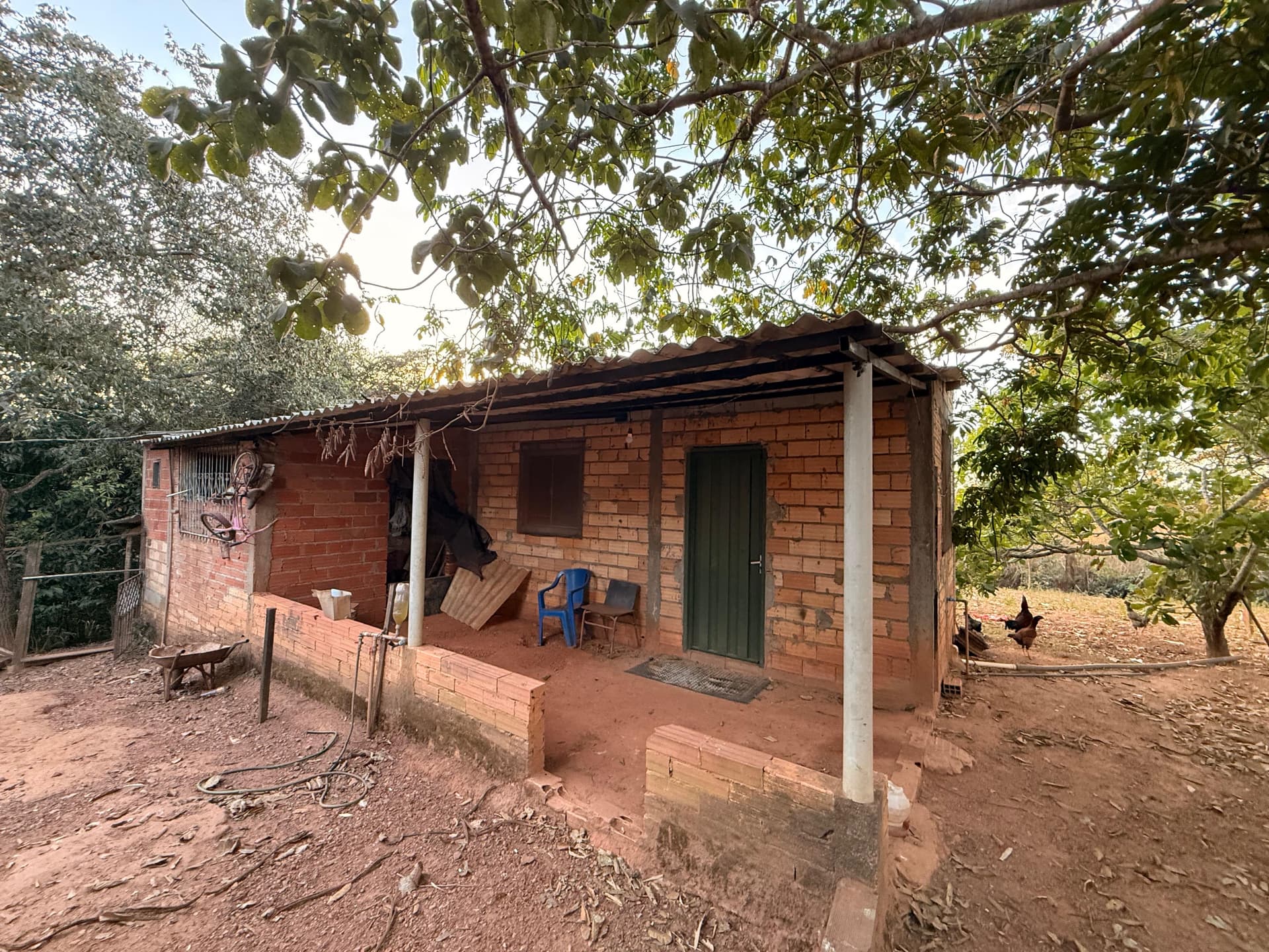 Fazenda Felicidade – BR-153 | 60 km de Goiânia