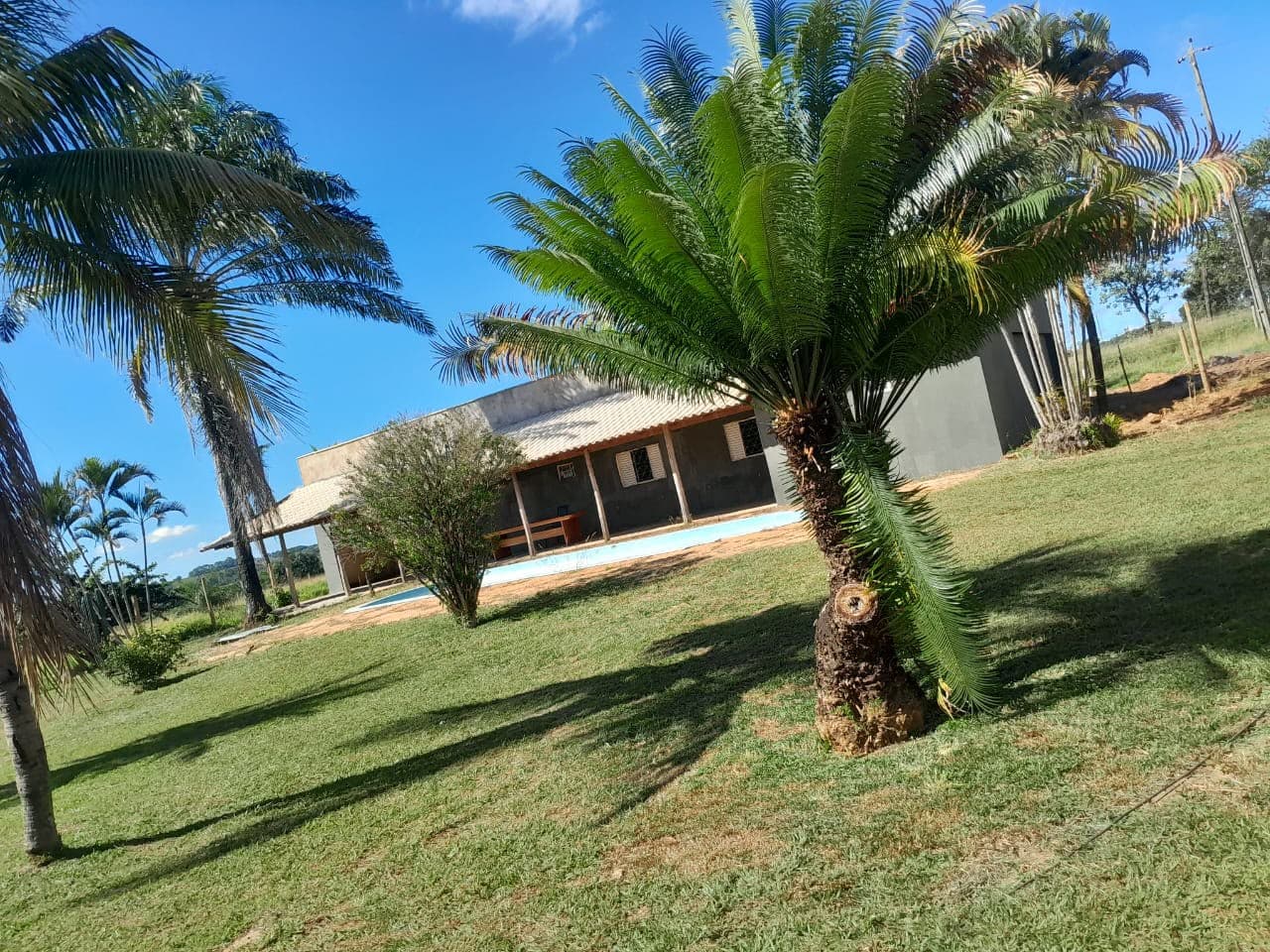 ÁREA/CHACARA ÀS MARGENS DA BR-153 | 55.OOO M² CHÁCARA À VENDA/ÁREA EM PIRACANJUBA – GO
