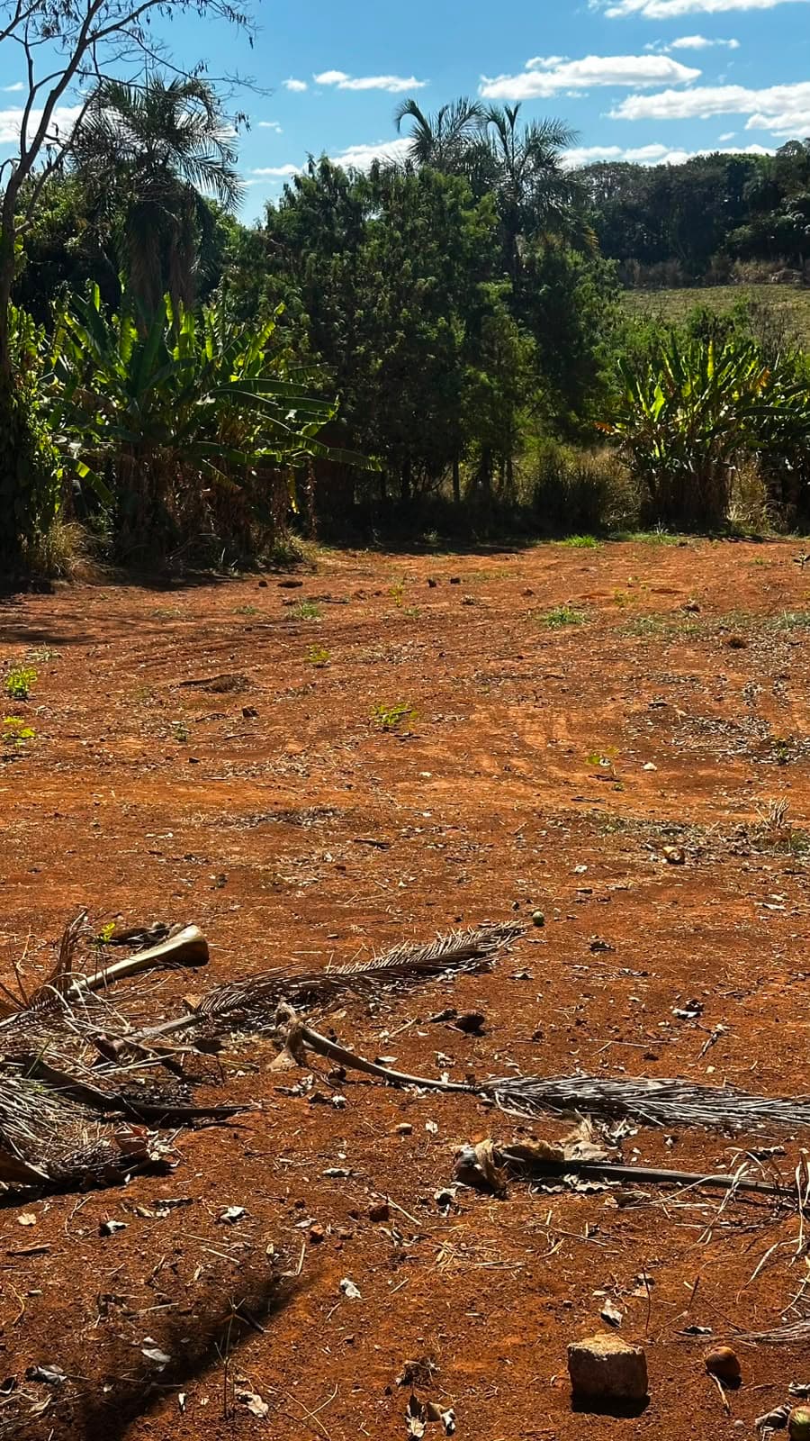 Bairro Cardoso Chácara/Lote à Venda – 5.000 m² | Oportunidade Única de Investimento