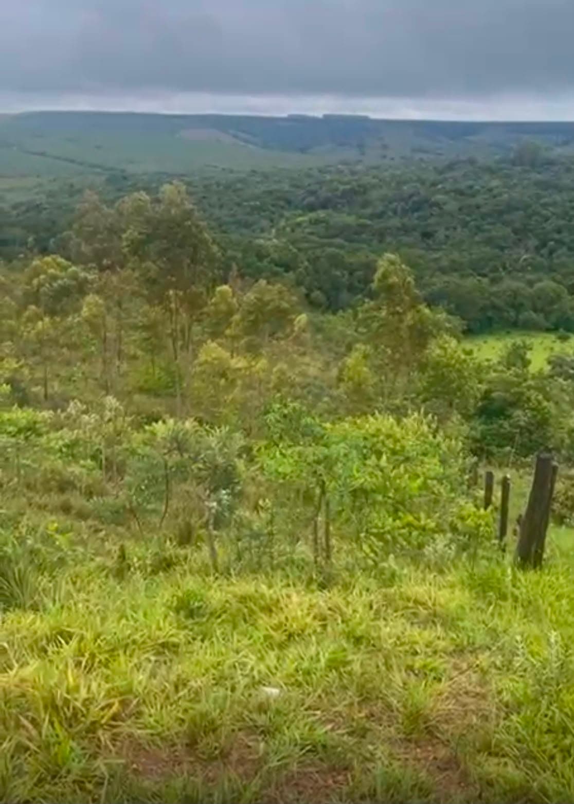 TERRENO PARA FAZENDA/ SÍTIO 50 Hectares