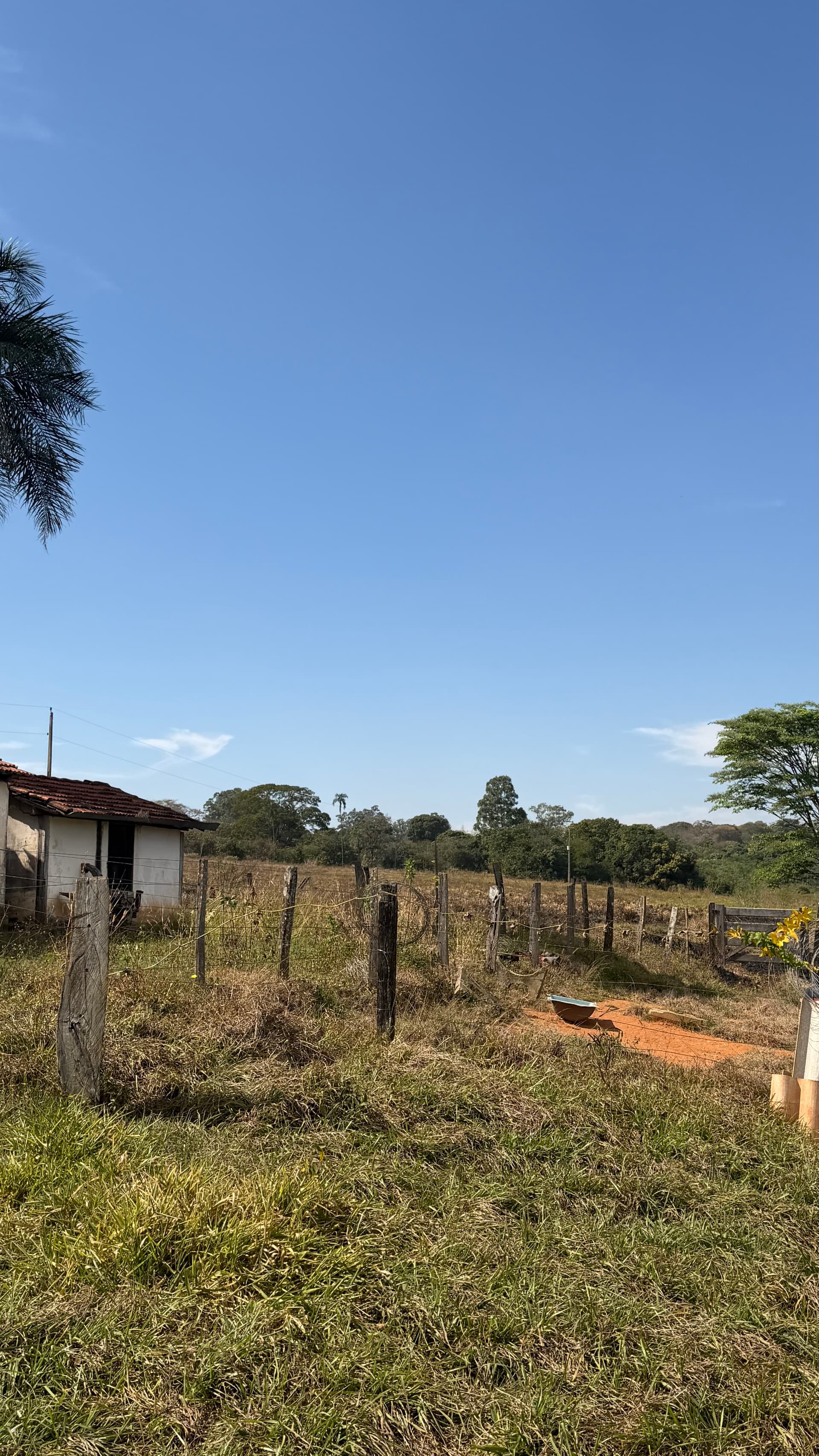 Fazenda 16 alqueires na GO-060 saída para Goiânia