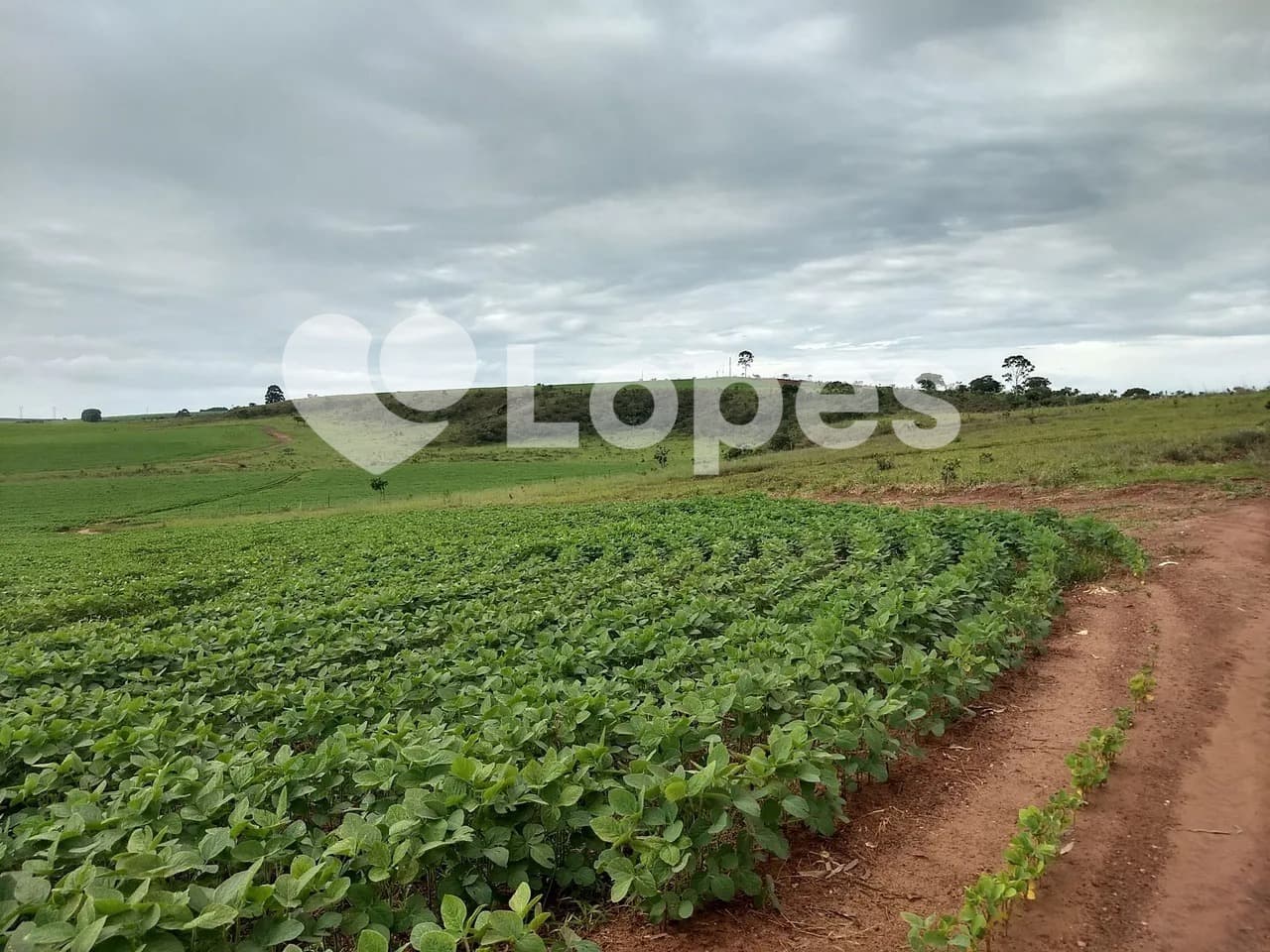 Fazenda 483 ha no Triângulo Mineiro | Dupla Aptidão | Sacramento-MG