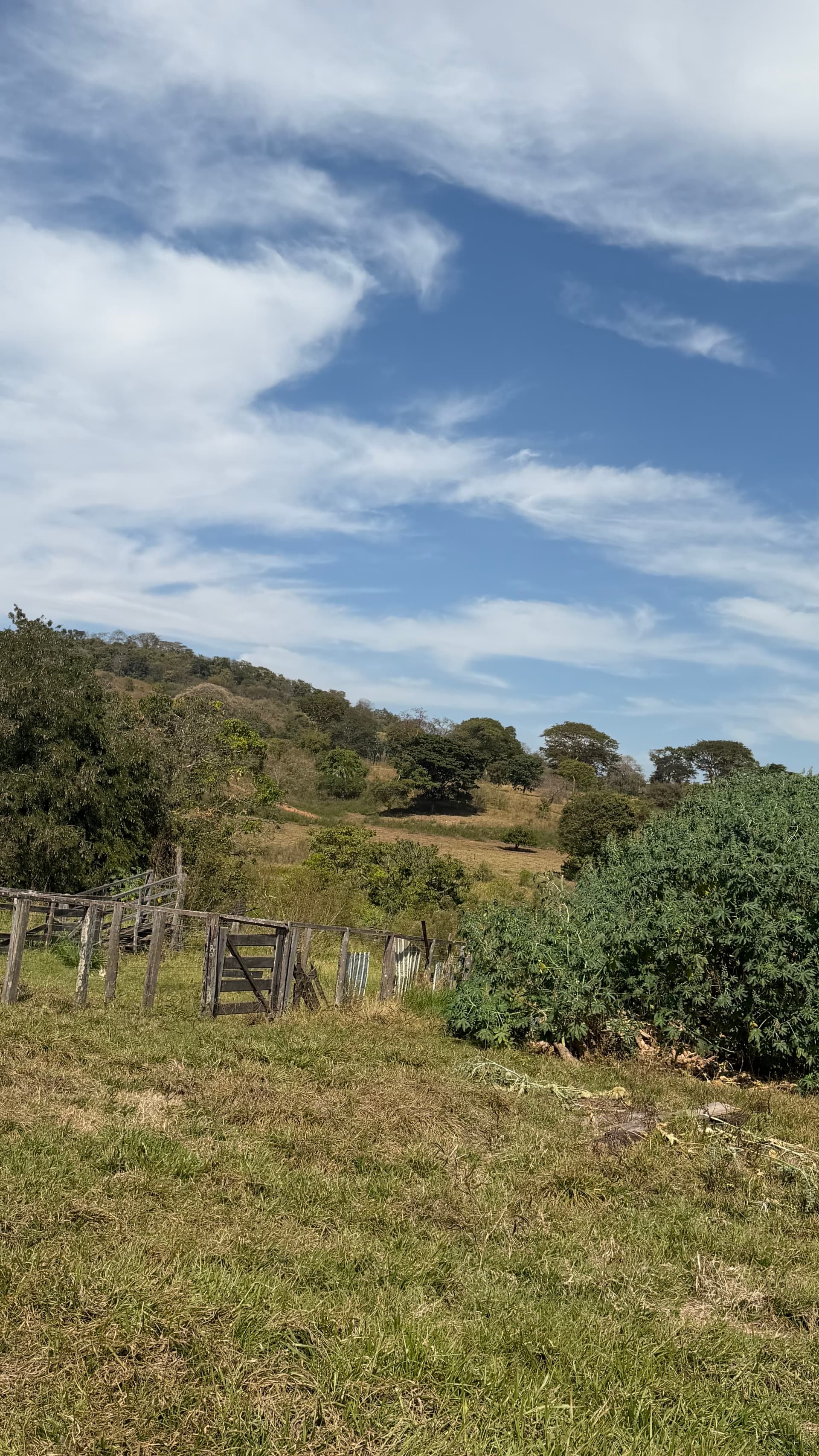 Fazenda 16 alqueires na GO-060 saída para Goiânia