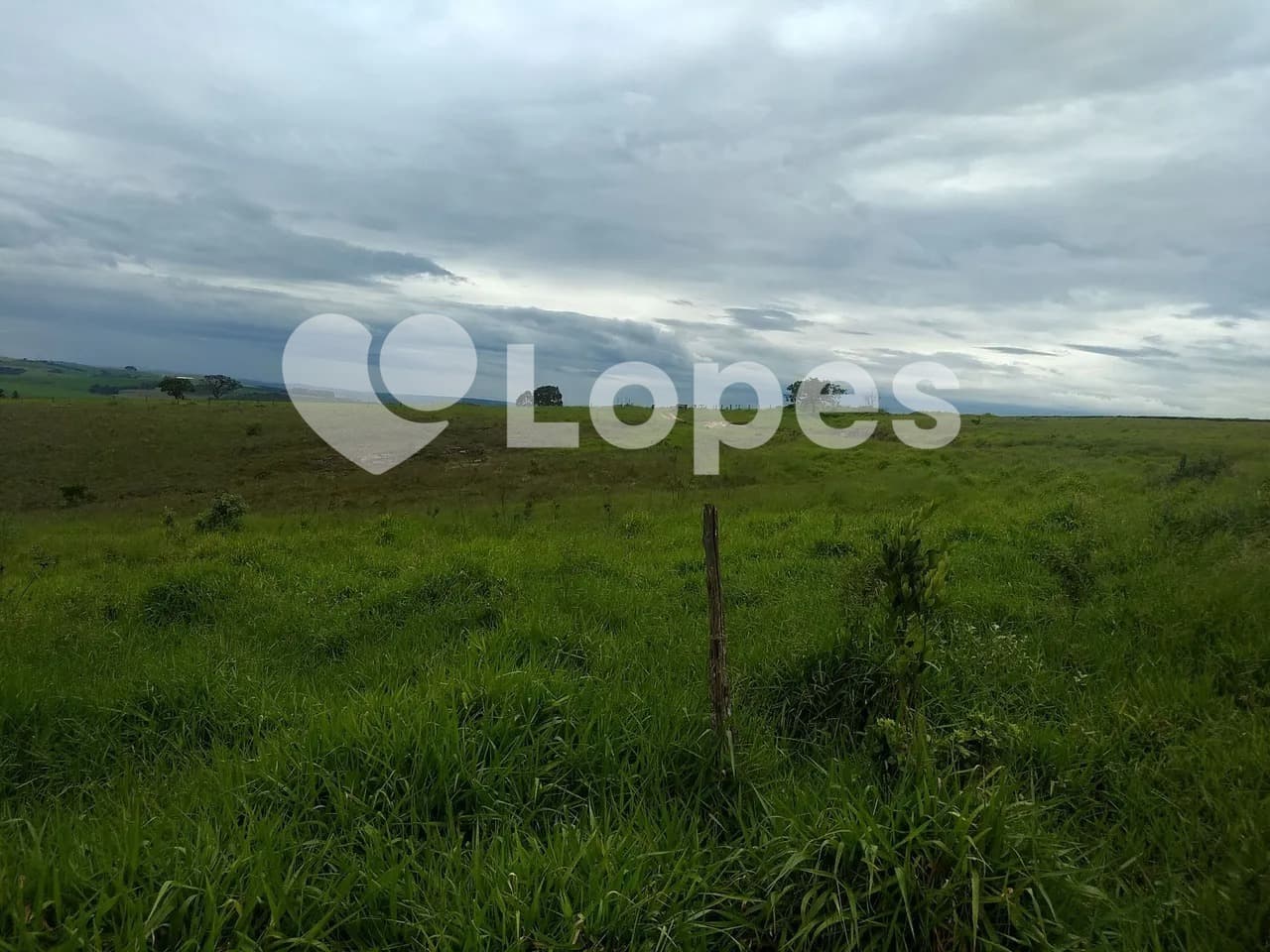 Fazenda 483 ha no Triângulo Mineiro | Dupla Aptidão | Sacramento-MG