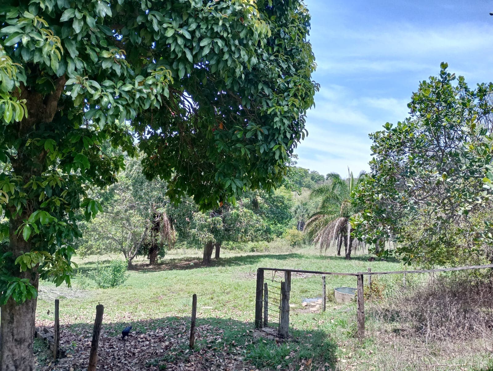 TERRENO - 40.000m² - Hidrolândia - Fazenda Lages