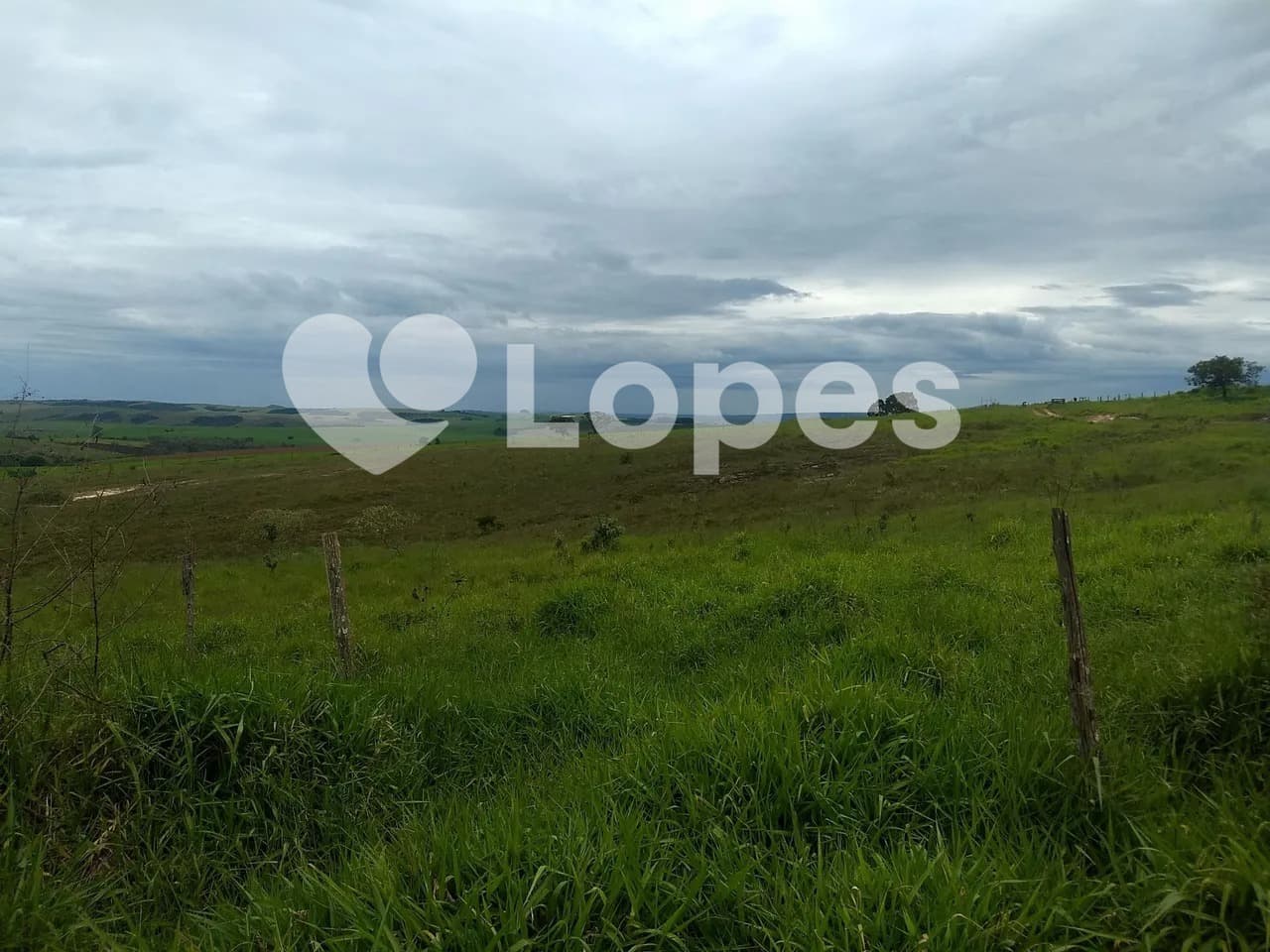 Fazenda 483 ha no Triângulo Mineiro | Dupla Aptidão | Sacramento-MG