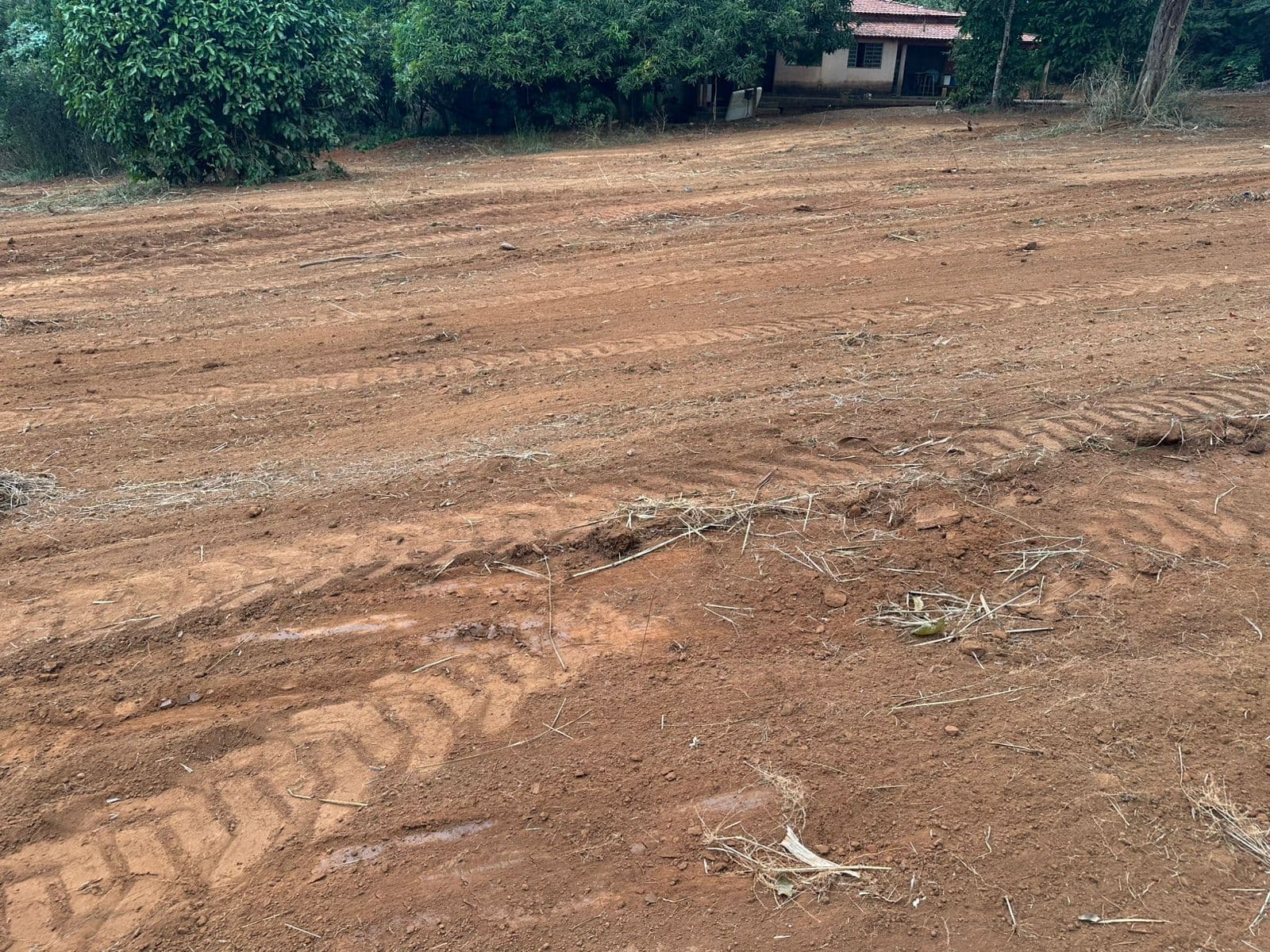 Bairro Cardoso Chácara/Lote à Venda – 5.000 m² | Oportunidade Única de Investimento