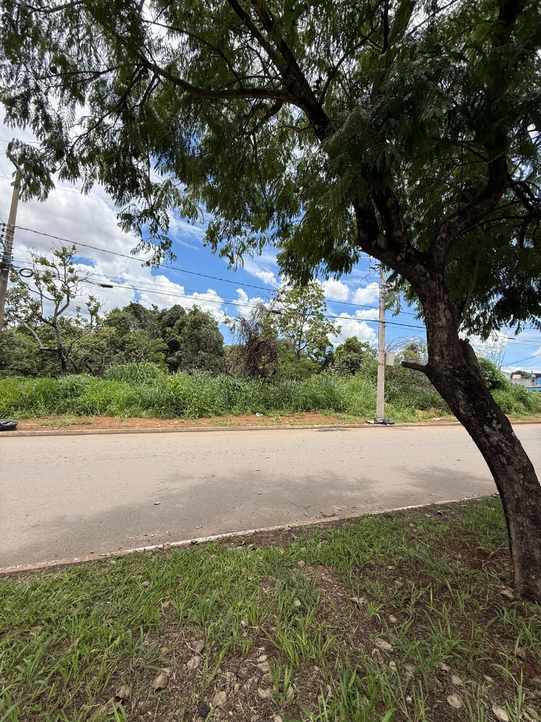 Lote no Buriti Sereno