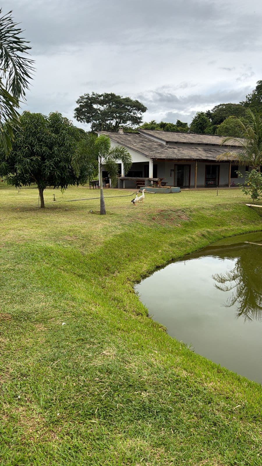 Chácara Alto Padrão em Trindade 48.000m² casa com 400m² Construídos Porteira Fechada