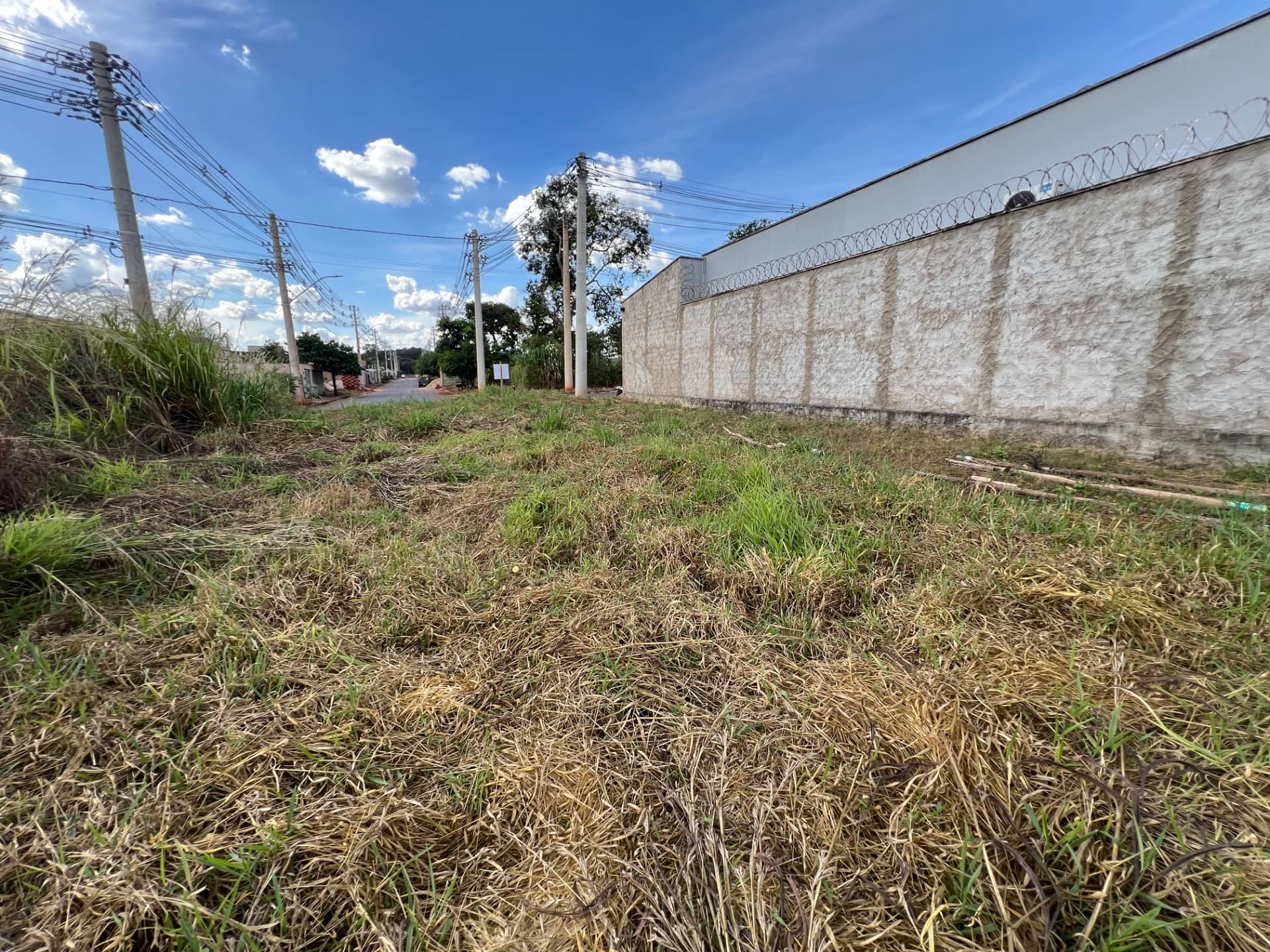 Lote 230m2