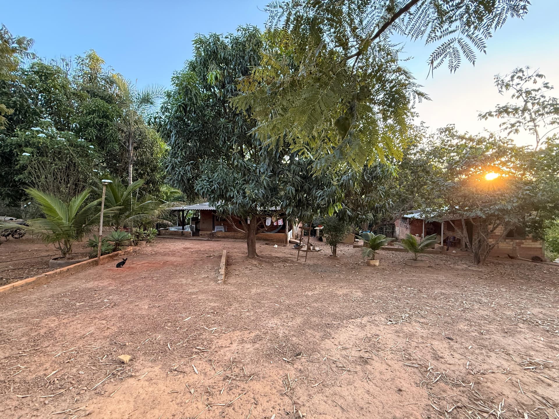 Fazenda Felicidade – BR-153 | 60 km de Goiânia